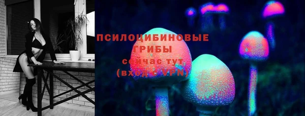 2c-b Верхний Тагил