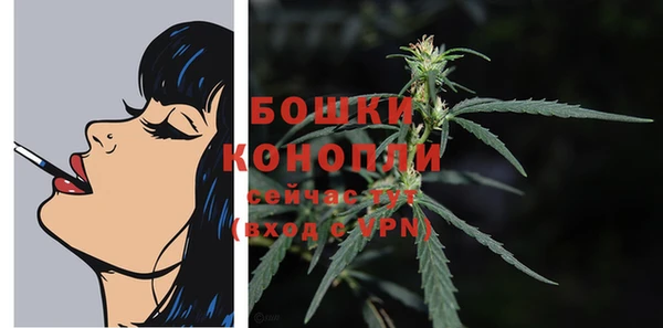 спайс Верея