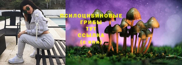 спайс Верея